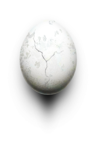 egg
